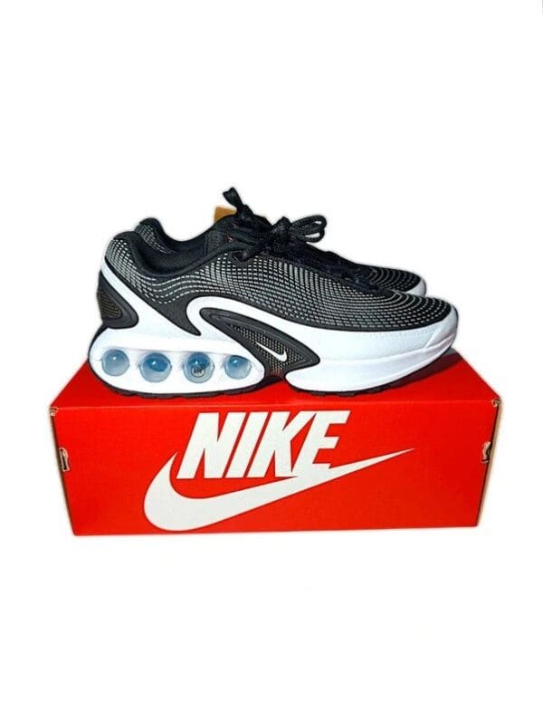 Nike Air Max Dn Black White Cool Grey